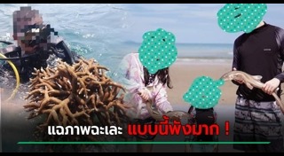 ปะการัง