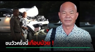 รถชนสัตว์