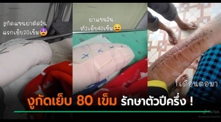 งูเขียวหางไหม้