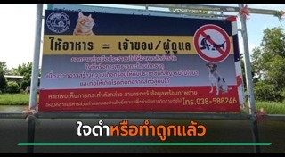 เลี้ยงสุนัข