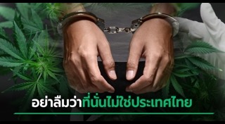 ปลูกกัญชา