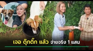 สุนัขหาย