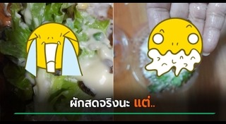 สลัดผัก