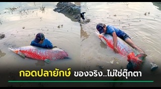 ปลายักษ์