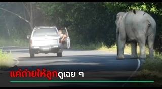 ช้างเขาใหญ่