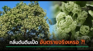 แพทย์แผนไทย