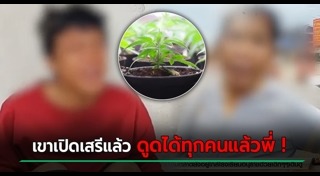 ลูกทำร้ายแม่