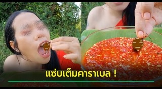 เมนูพิสดาร