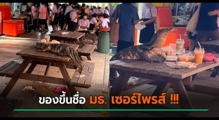 มหาวิทยาลัยธรรมศาสตร์
