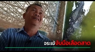 จระเข้กัดคน