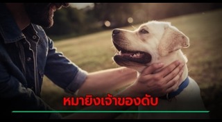 ล่าสัตว์