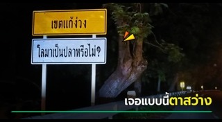 วิธีแก้ง่วง