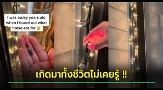 ไฟคริสต์มาส