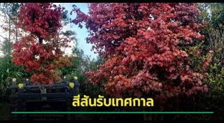 เจ้าฟ้าพัชรกิติยาภาฯ