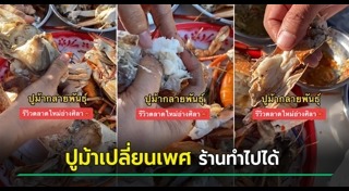 ปูม้า