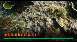 เกาะพีพี