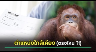 อุรังอุตัง