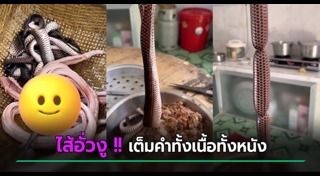 กินแปลก
