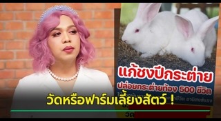 แก้ปีชง