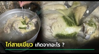 ไก่ต้ม
