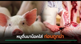 โรงฆ่าสัตว์