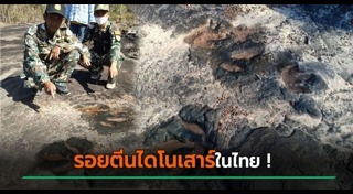ไดโนเสาร์