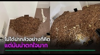 ผนังบ้าน