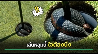 สนามกอล์ฟ