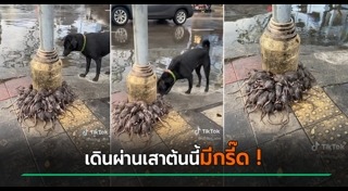 น้ำท่วมกรุงเทพฯ