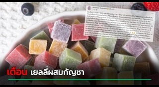 เยลลี่กัญชา