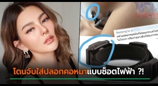 ปลอกคอสุนัข