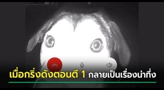 สุนัขหาย