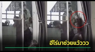 สัตว์แสนรู้