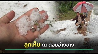 ดอยอ่างขาง