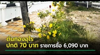 ข้าราชการทุจริต