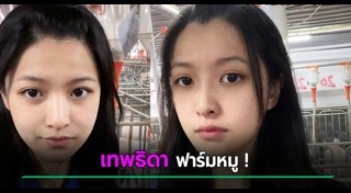 สัตวแพทย์