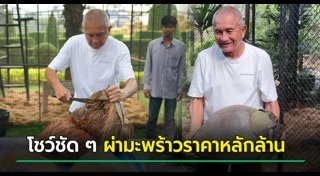 มะพร้าวทะเล