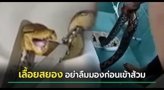 งูในชักโครก