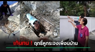 ต้นหูกระจง