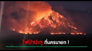 ไฟไหม้ป่า