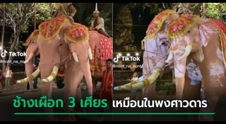 ช้างเผือก