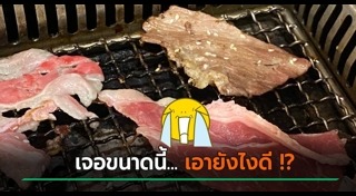 แมลงสาบในอาหาร