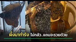 น้ำผึ้ง