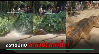 จระเข้กัดคน