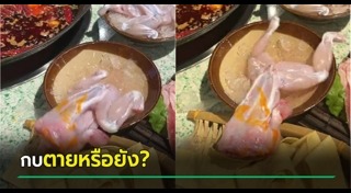 กบ
