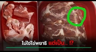 พยาธิตัวตืด