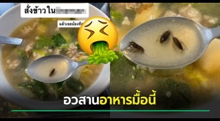 แมลงสาบในอาหาร