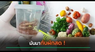 ปรสิต