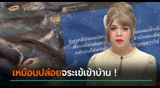 ระบบนิเวศ