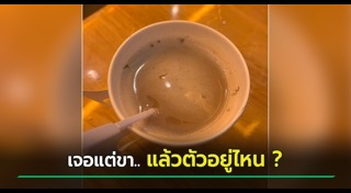แมลงสาบในอาหาร